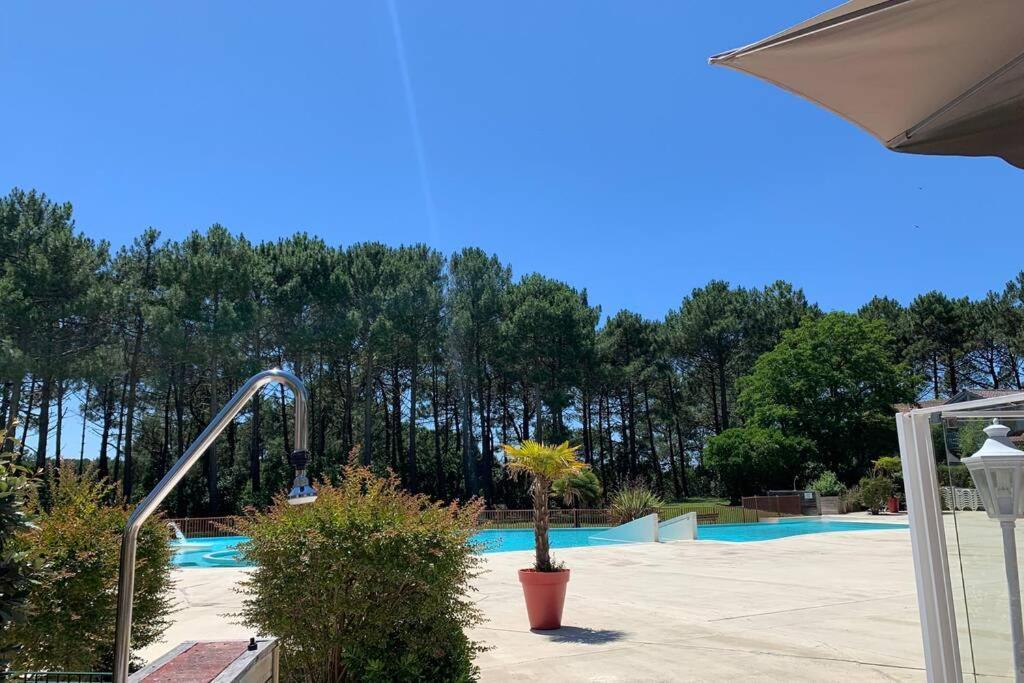 Appartement T2 1Chambre 4-5 Personnes - Lacanau - Piscine - Vue Sur Le Golf Luaran gambar